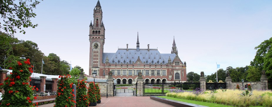 Une photographie du Palais de la Paix à La Haye, aux Pays-Bas. Un bâtiment orné du début des années 1900, il a une tour de l'horloge à une extrémité.