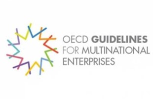 Principes directeurs de l'OCDE 400 266 S C75